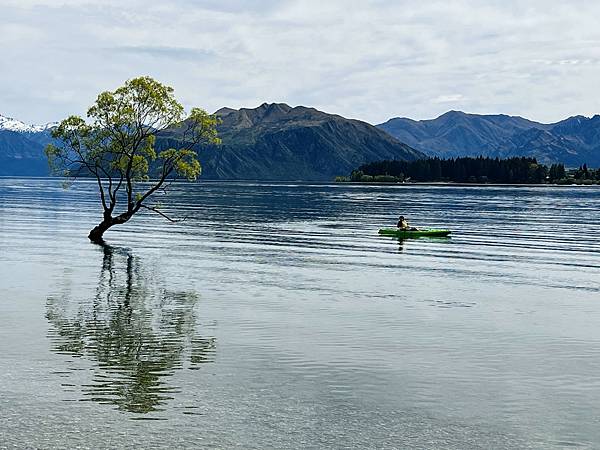 《紐西蘭南北島》2南島/普卡基湖、瓦納卡湖~家庭旅遊紀錄