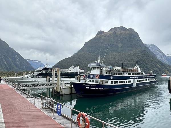 《紐西蘭南北島》2南島/普卡基湖、瓦納卡湖、艾格林頓山谷、鏡