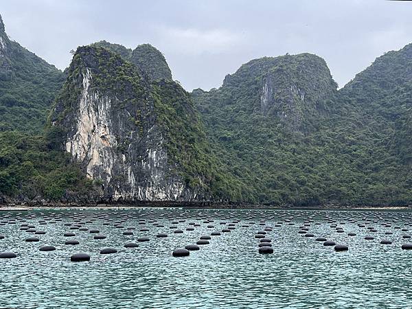 《北越》3 印度支那號~蘭夏灣、下龍灣(快艇)