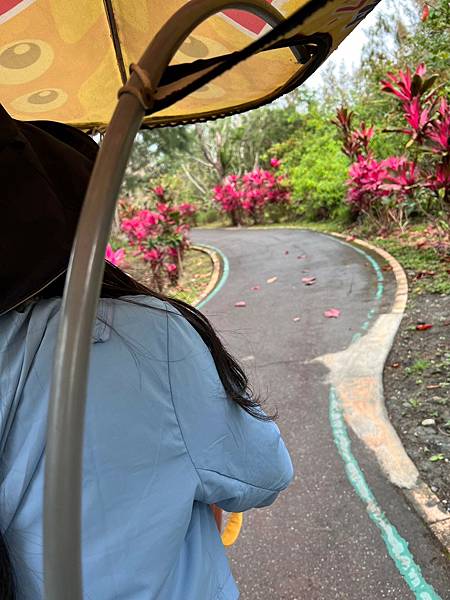 《台東》自由行2~台東海濱公園、台東森林公園、可可娜咖啡、小