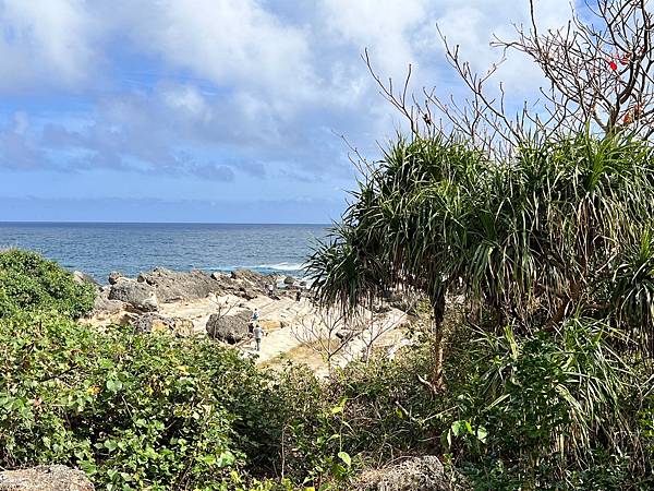 《台東縣》自由行2~台東市:台東森林公園、海濱公園、可可娜咖