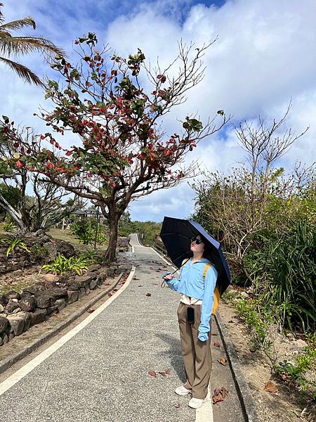 《台東縣》自由行2~台東市:台東森林公園、海濱公園、可可娜咖