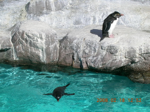 尼克斯水族館