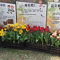 20150214_142934_調整大小.jpg