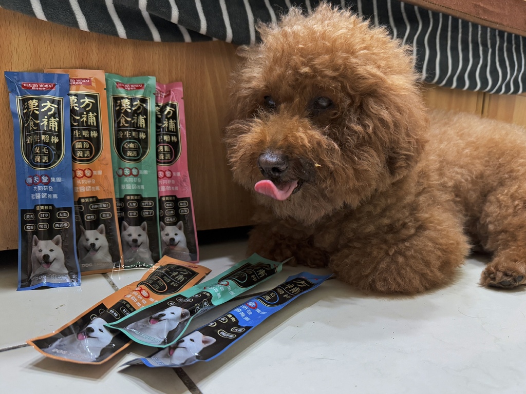 【關健時刻-漢方食補】挑嘴狗狗救星！獸醫師激推漢方嚼棒，從此