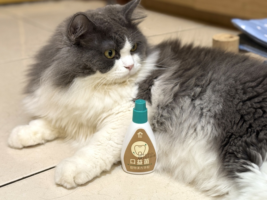 【寵物好物】融合漢方智慧!寵樂芙寵愛毛孩的新選擇💖!@寵樂芙