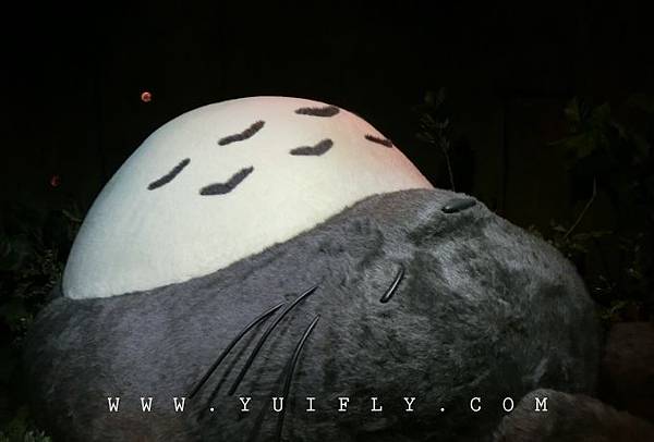totoro_08.jpg