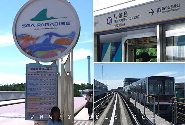 東京 橫濱八景島海島樂園 日本最大水族館 釣魚 q 海豚秀 仿妝夭后yui 痞客邦