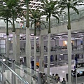 泰國曼谷新機場 (熱帶椰子樹搬進冷氣間)