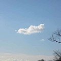 Unique Cloud