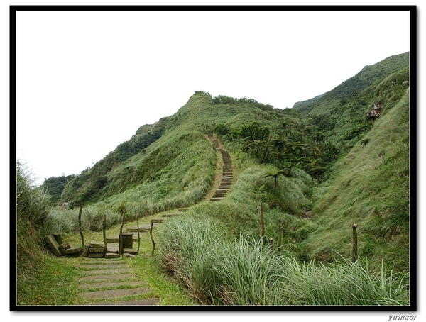 桃源谷步道草嶺線.jpg