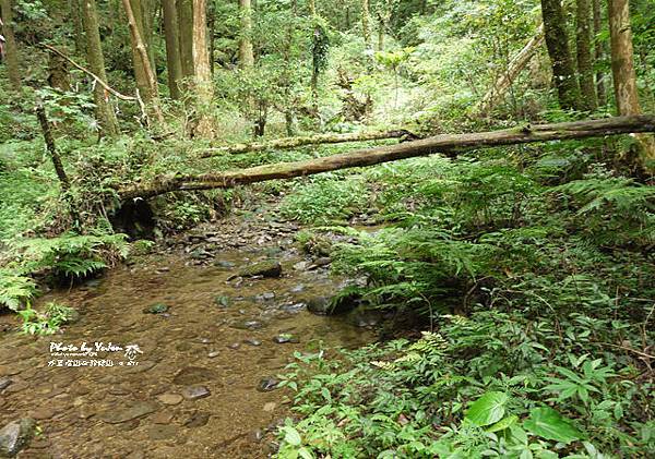 073外鳥嘴山_那結山