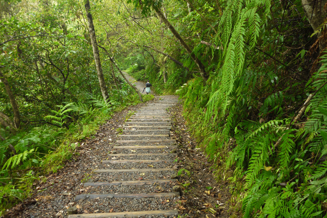 009林美石磐步道.jpg