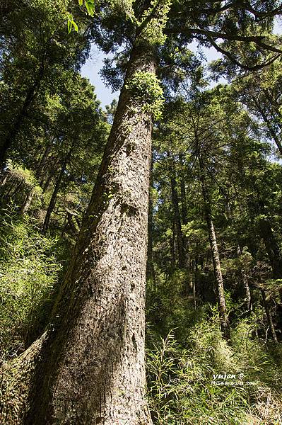 256閂山鈴鳴山.jpg