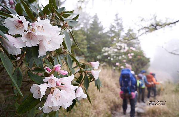 071雪山主東下翠池.jpg