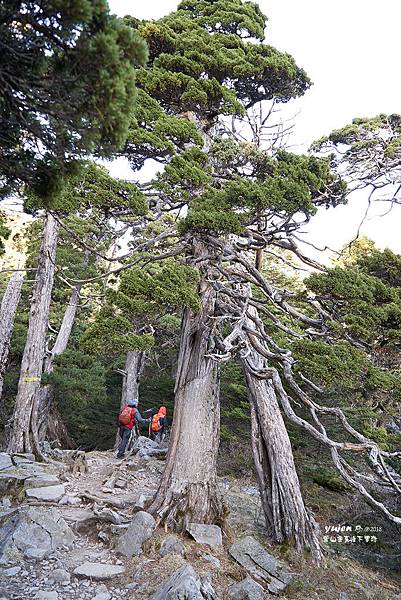 101雪山主東下翠池.jpg