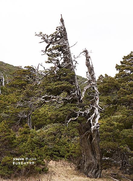 178雪山主東下翠池.jpg