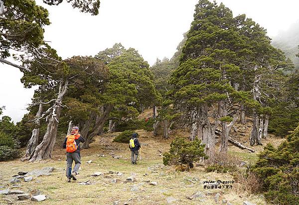 209雪山主東下翠池.jpg