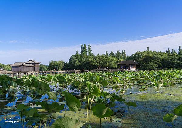 412-蘇杭烏鎮上海.jpg