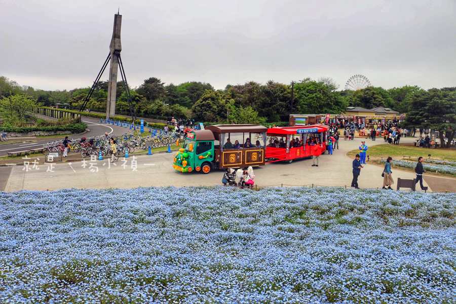 常營海濱公園02.jpg