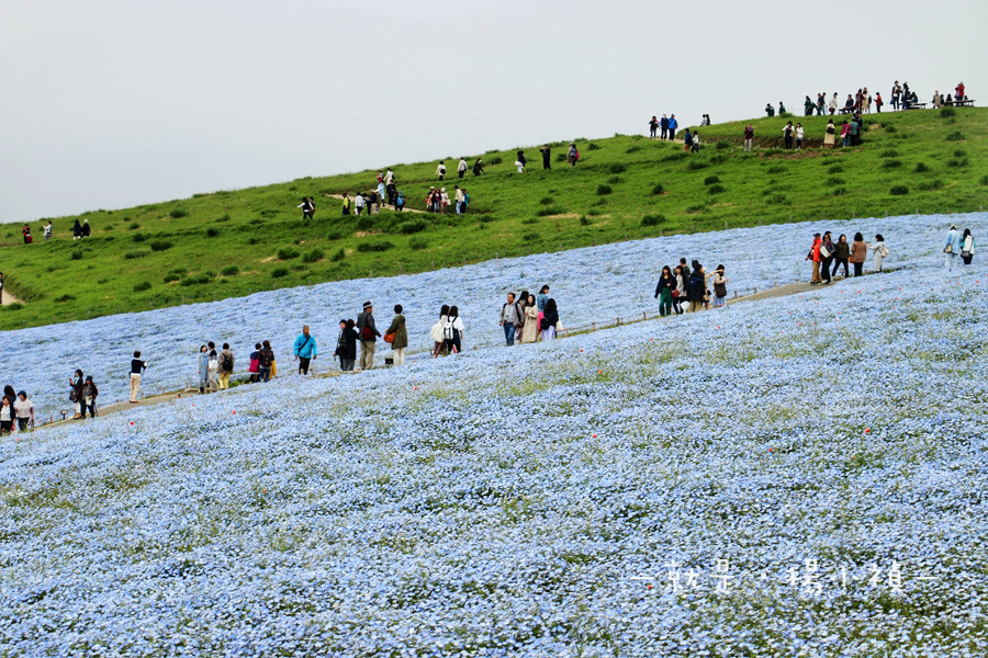 常營海濱公園09.jpg