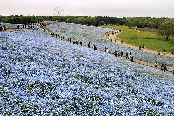 常營海濱公園10.jpg