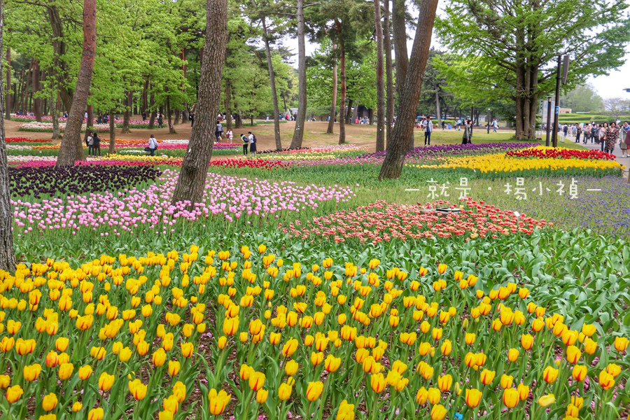 常營海濱公園17.jpg