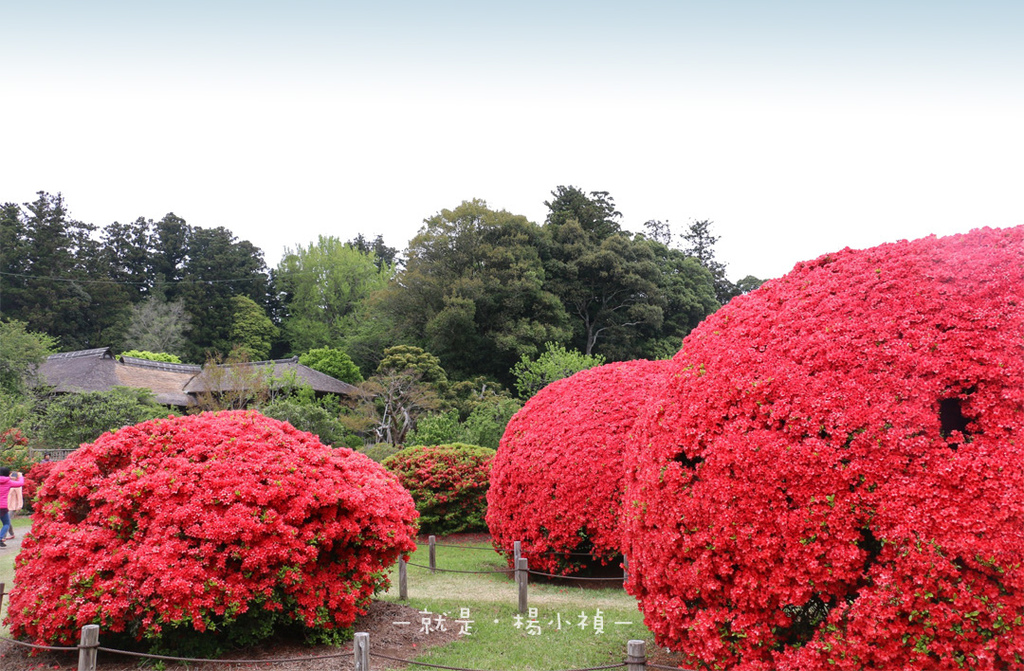 水戶偕樂園08.jpg