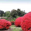 水戶偕樂園08.jpg