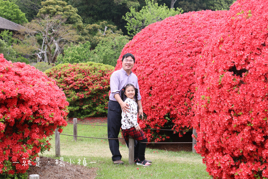 水戶偕樂園13.jpg