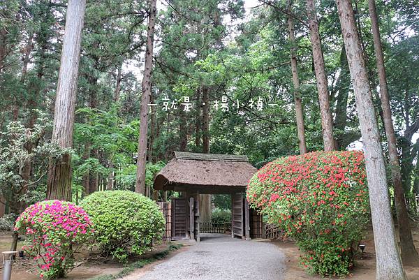 水戶偕樂園18.jpg