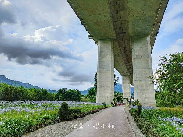 橋聳雲天09.jpg