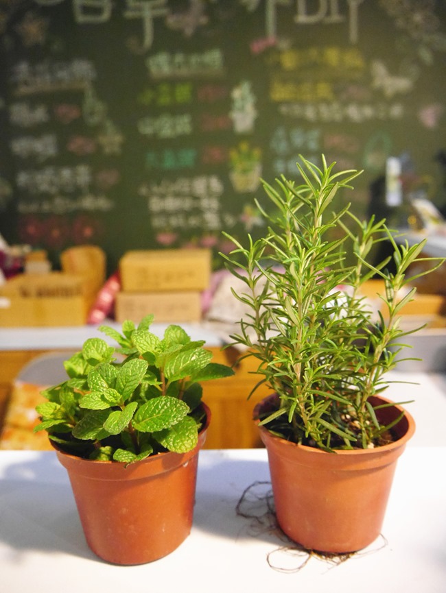 │宜蘭。員山│香草菲菲。充滿花香的玻璃屋 親子幸福香輕旅行