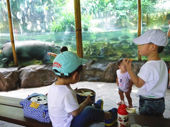 新加坡動物園 親子自由行