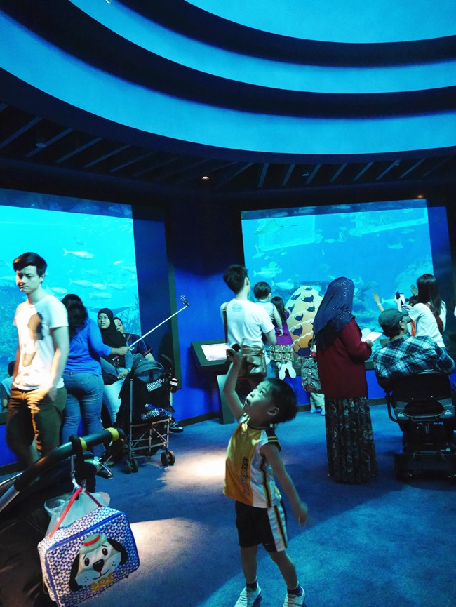 │新加坡│親子7天6夜自由行Day3。全球最大的海洋館魚兒魚兒樂悠遊-海洋館S.E.A