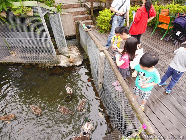 │宜蘭景點│廣興農場鴨母寮豬哥窟。摸硯仔+焢窯+童玩+生態缸DIY 歡樂農村生活親子共遊