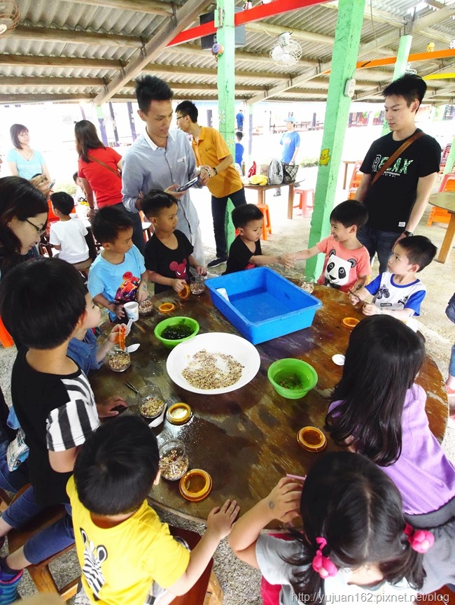 │宜蘭景點│廣興農場鴨母寮豬哥窟。摸硯仔+焢窯+童玩+生態缸DIY 歡樂農村生活親子共遊