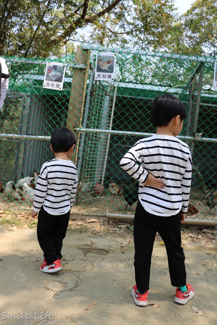 ▌桃園▌美拍秘境「富田花園農場」親子草坪、野餐、騎車、餵動物…還有萌萌草泥馬愛自拍。超殺底片！