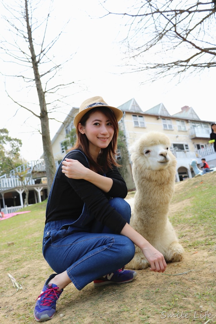 ▌桃園▌美拍秘境「富田花園農場」親子草坪、野餐、騎車、餵動物…還有萌萌草泥馬愛自拍。超殺底片！