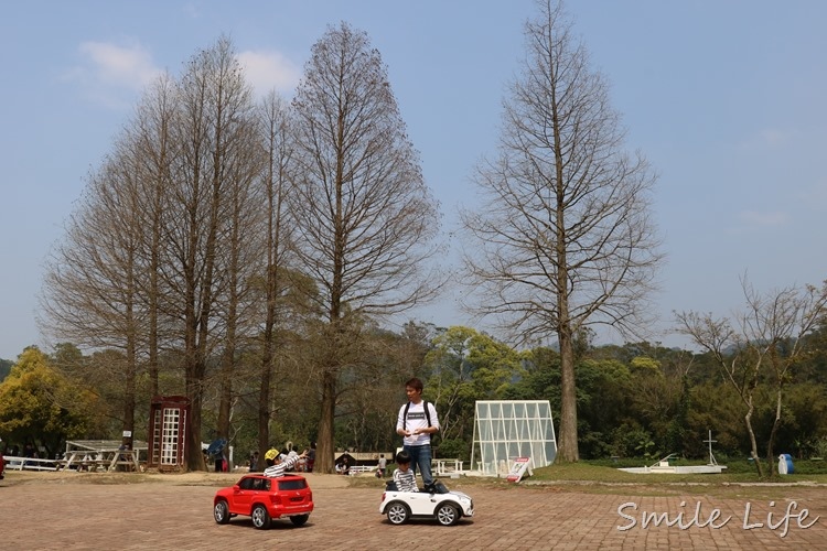 ▌桃園▌美拍秘境「富田花園農場」親子草坪、野餐、騎車、餵動物…還有萌萌草泥馬愛自拍。超殺底片！