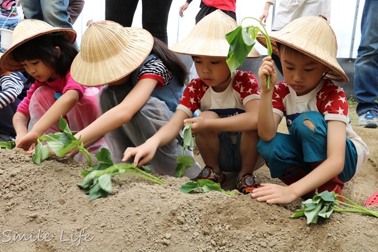 ▌新北景點▌金山汪汪地瓜園。烤磚窯／烤肉／挖沙／打水仗／有機地瓜種植 小農親子體驗