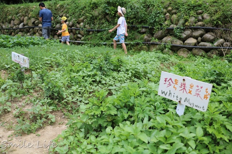 ▌桃園景點▌「好時節農莊」小農體驗趣。自然生態體驗、窯烤披薩、手作DIY‥好玩又好吃！