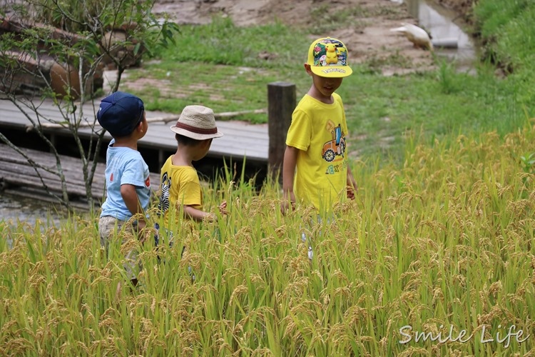 ▌桃園景點▌「好時節農莊」小農體驗趣。自然生態體驗、窯烤披薩、手作DIY‥好玩又好吃！