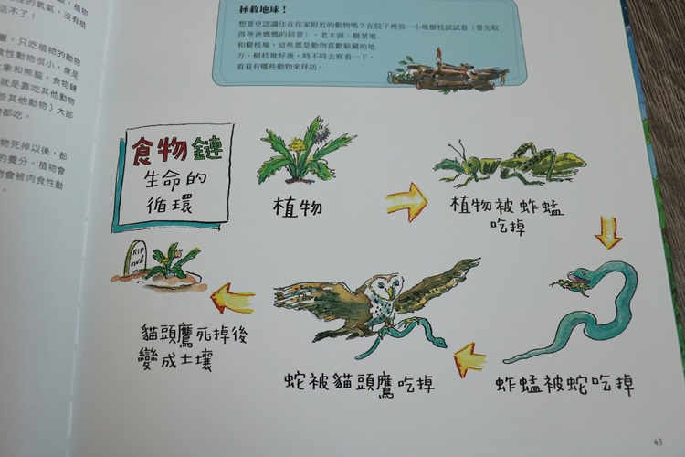 ▌必推書單▌佩佩豬陪你讀故事、學英文。還能上知天文、下知地理長智識 套書推薦