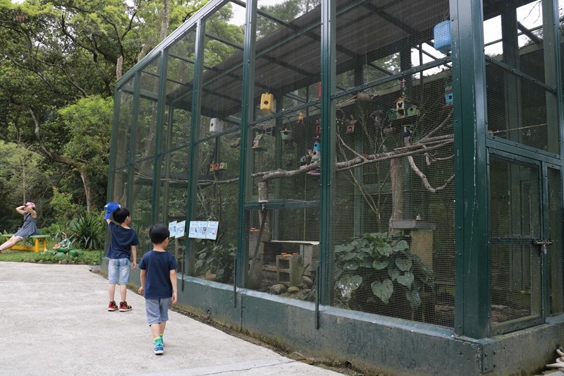 ▌新竹景點▌森林鳥花園。樹屋探險、沙坑、戲水池、多道刺激溜滑梯…屬於孩子的森林遊樂園