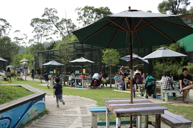 ▌新竹景點▌森林鳥花園。樹屋探險、沙坑、戲水池、多道刺激溜滑梯…屬於孩子的森林遊樂園