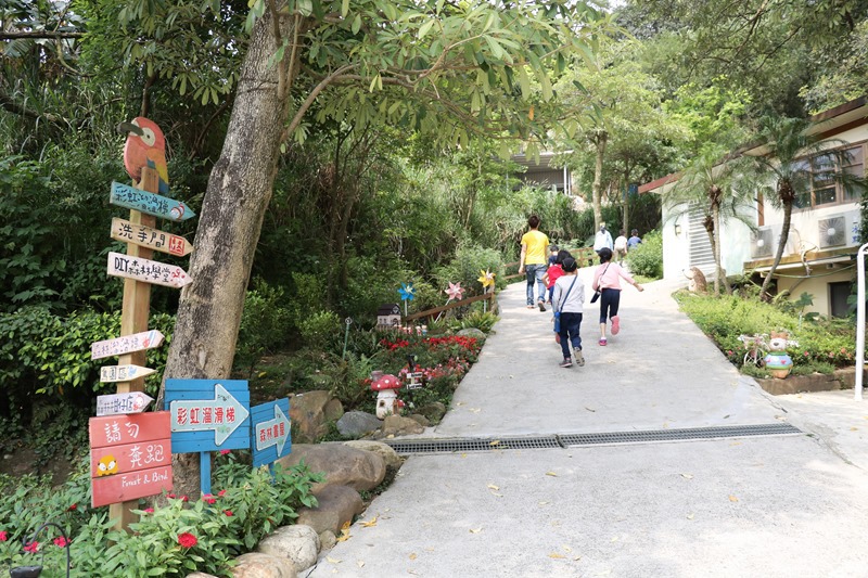 ▌新竹景點▌森林鳥花園。樹屋探險、沙坑、戲水池、多道刺激溜滑梯…屬於孩子的森林遊樂園