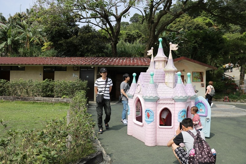 ▌新竹景點▌森林鳥花園。樹屋探險、沙坑、戲水池、多道刺激溜滑梯…屬於孩子的森林遊樂園