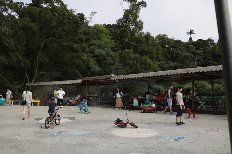 ▌新竹景點▌森林鳥花園。樹屋探險、沙坑、戲水池、多道刺激溜滑梯…屬於孩子的森林遊樂園