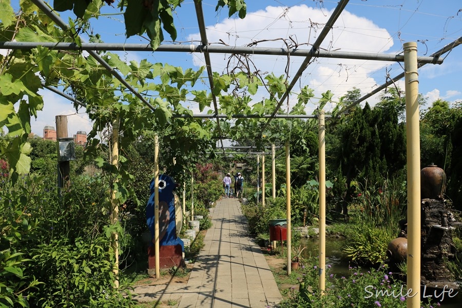 ▌桃園親子景點▌2018桃園觀音鄉蓮花季。蓮荷園休閒農場坐大王蓮花、吃蓮花冰消暑